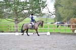 Dressage portfolio