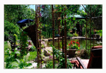 Krista's Garden 3
