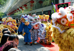KM-370 Lion dancers in Nathan Road
