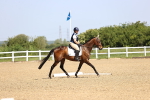 SBM_008193