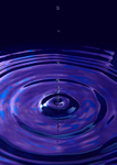 Water Droplet 1
