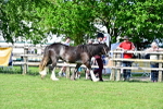 SBM_10138