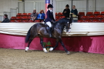 SBM_21341_Class T - Working Veteran Champ