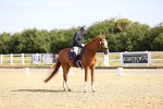 SBM_008608
