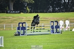 Friday 8th - TopSpec Main Arena portfolio