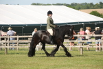 SBM_09523