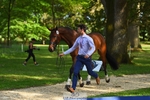 180-GUEULE_DE_REVE-Arthur_Duffort-WEDTrotUp+DR portfolio