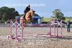 BPP_2377
