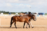 SBM_10963