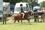 SBM_06747