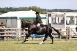 SBM_17912
