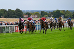 290826-Race 5-Supreme Clarets-7362
