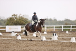 SBM_004788
