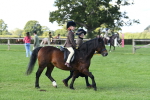 SBM_39713