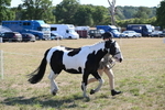 WJ6_7509