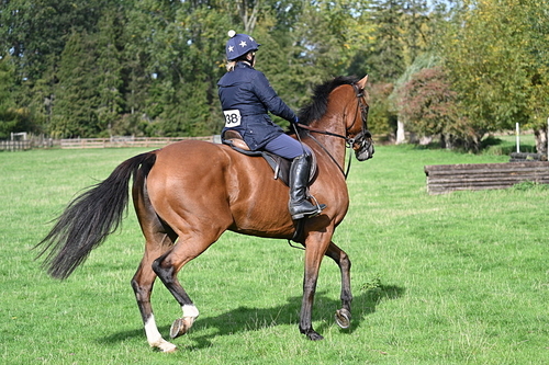 WJ7_7869