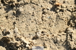 251004A-152835-01835