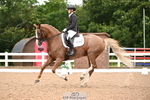 113-Ruby.Gumbley-Nova's.Golden.Dream portfolio