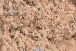 260819-115223-00409