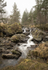 4887 White Water, Glendoll Forest