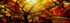 Flaming Autumn