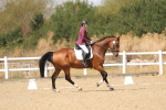 SBM_009767