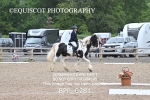 BPP_0281