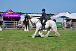 SBM_19402