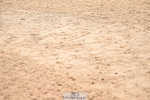 240720A-101823-13631