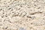 260802A-131334-06701