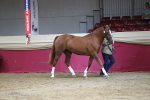 SBM_06541