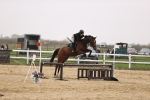 SBM_002369