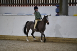 Class 11 Ridden PC - RC Pony portfolio