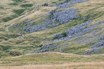 Ingleborough-17