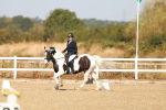 SBM_016768