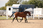 SBM_04574