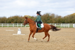 SBM_002616