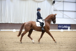 SBM_003268