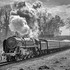 Britannia leaving Crowcombe Heathfield