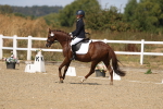 SBM_013721