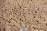 260424-084732-08922