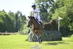 308-COOLEY_ANYTHING_YOU_LIKE-Harry_Meade portfolio