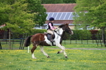 Class 5 - Minimus 50-60cm Unassisted portfolio