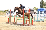 SBM_000591