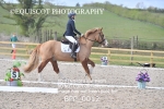MY QUEST NOVICE 2 portfolio