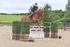 BPP_1767