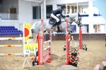 SBM_001380