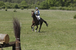 BVHT 140517  IXC -652