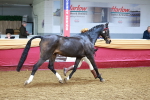 SBM_16122