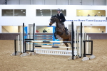 Class 3 - Senior Discovery - 1.00m portfolio